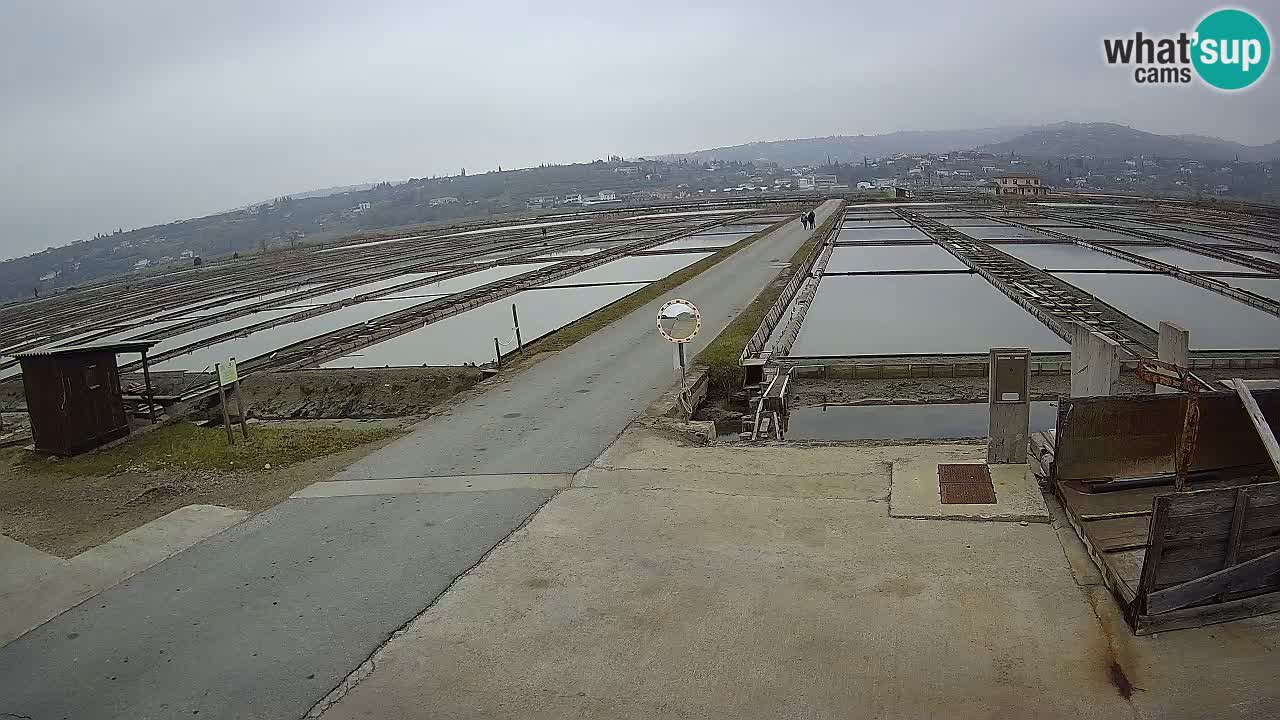 Park prirode Sečovlje Salina