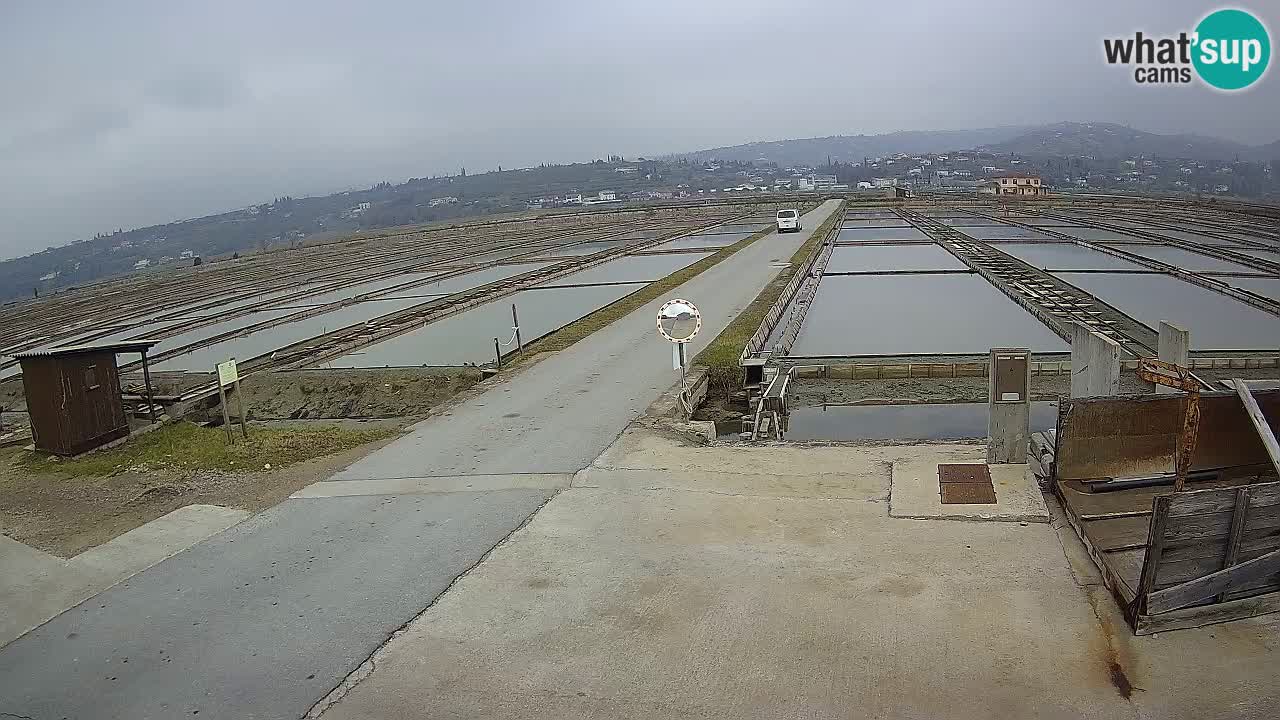 Sečovlje Salina Parque Natural