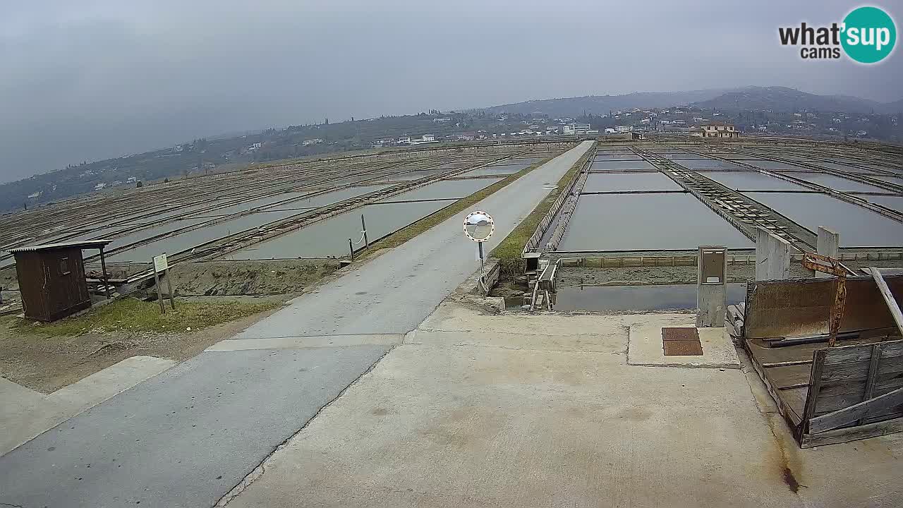 Krajinski Park Sečoveljske Soline