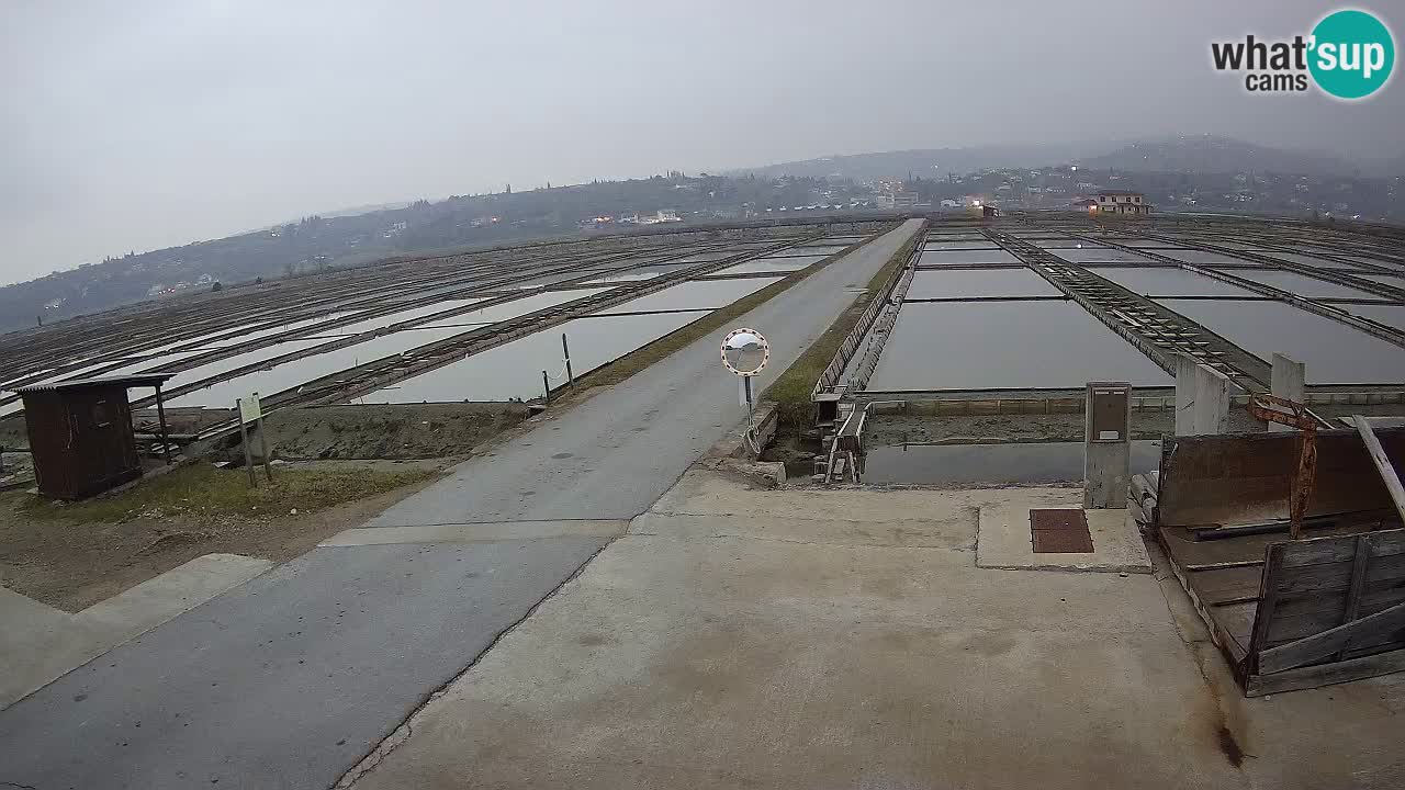 Sečovlje Salina Parque Natural