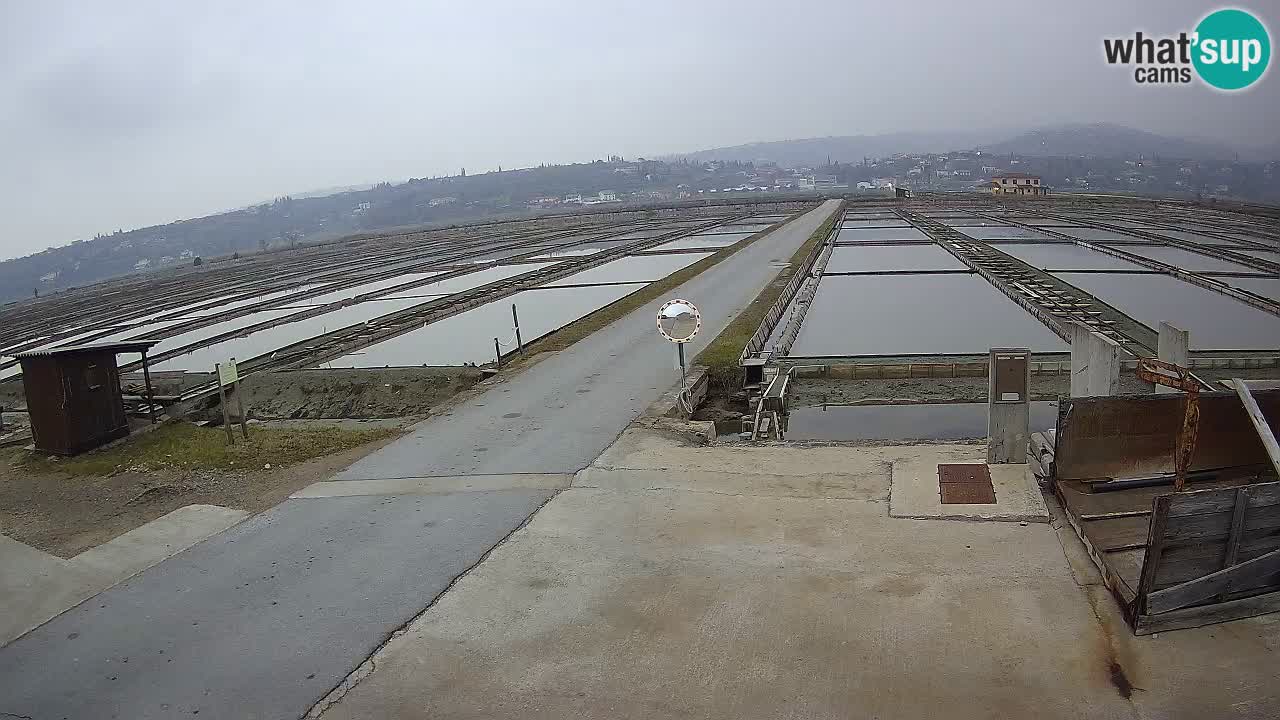 Parco Naturale Saline di Sicciole