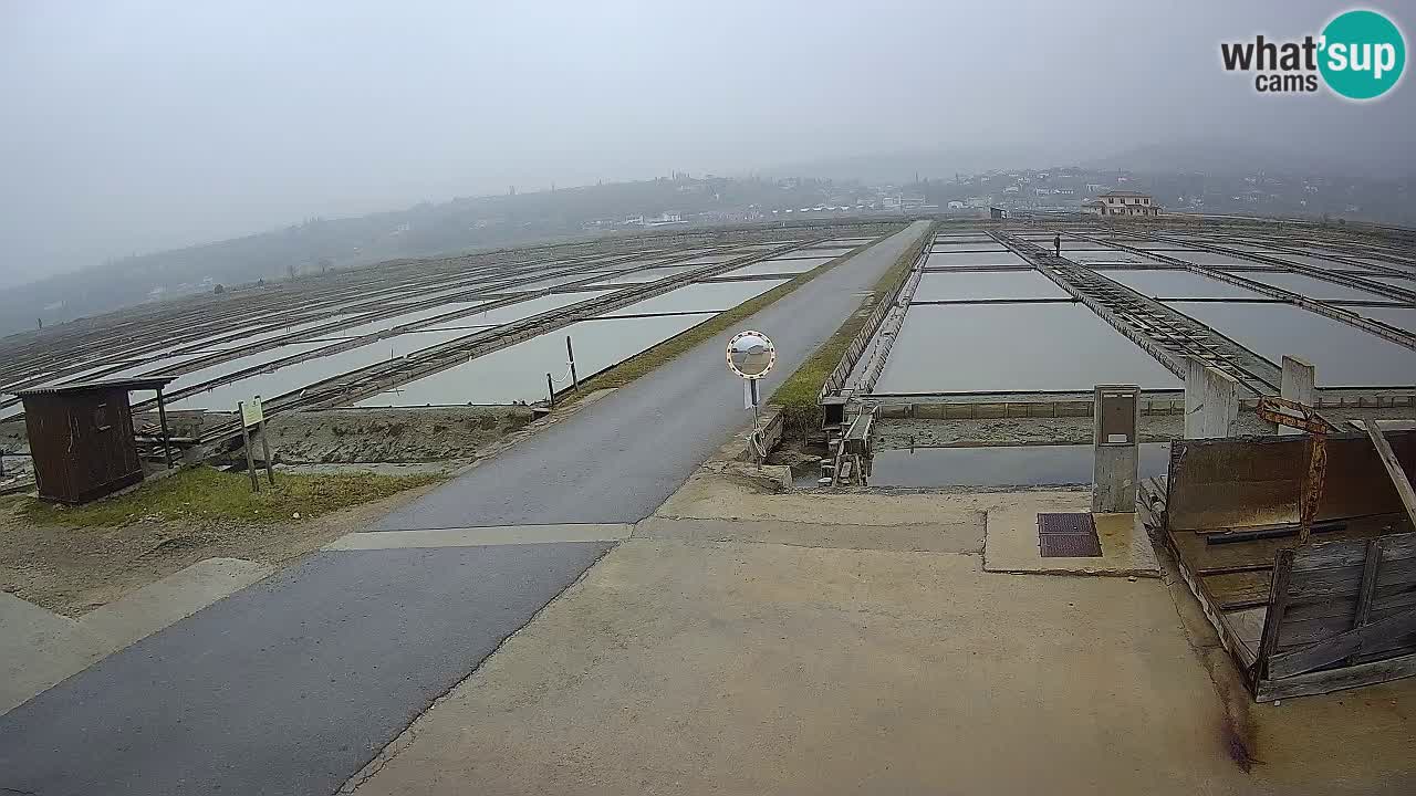 Sečovlje Salina Parque Natural