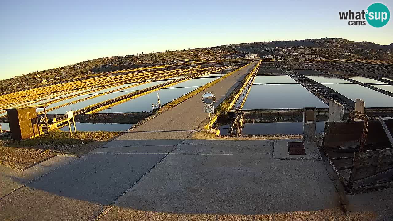 ﻿Sečovlje Salina Nature Park – KPSS