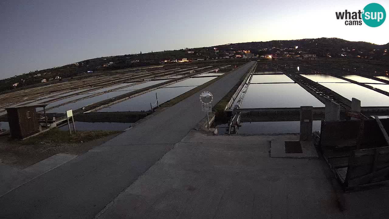 Sečovlje Salina Parque Natural