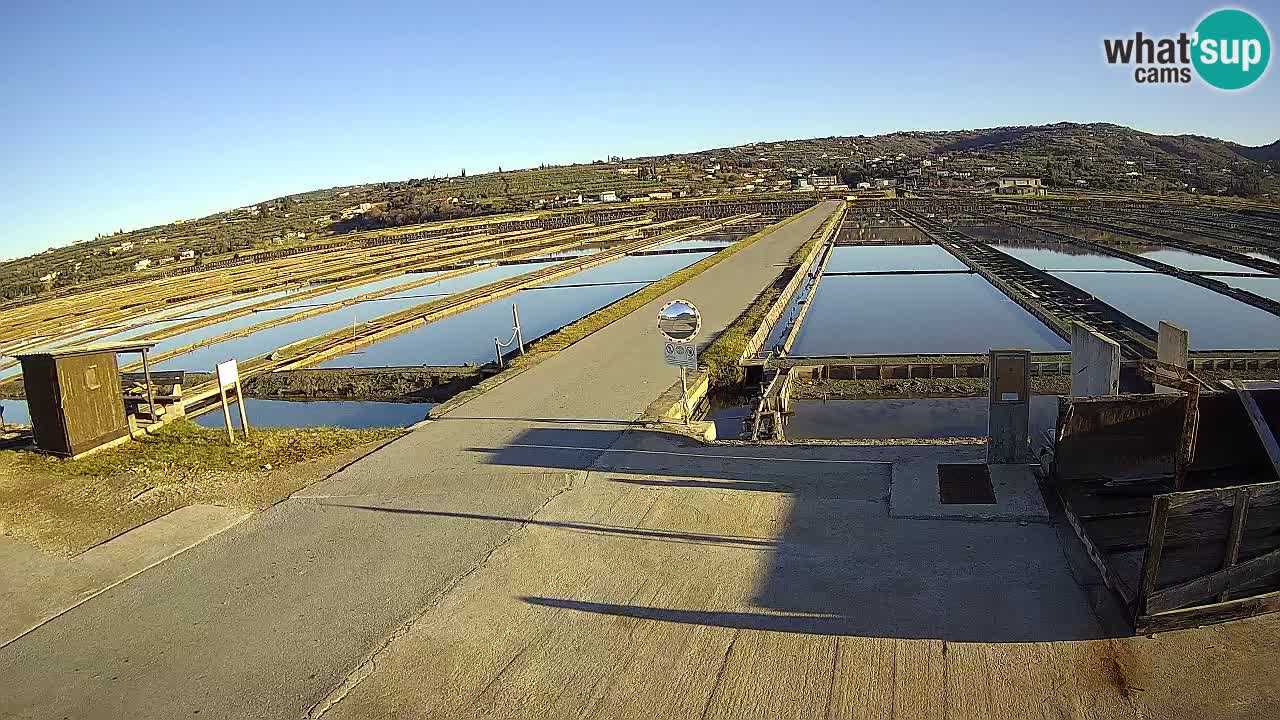 Sečovlje Salina Nature Park