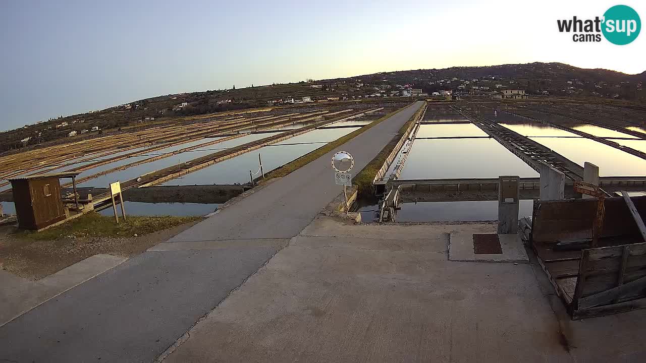 Sečovlje Salina Parque Natural