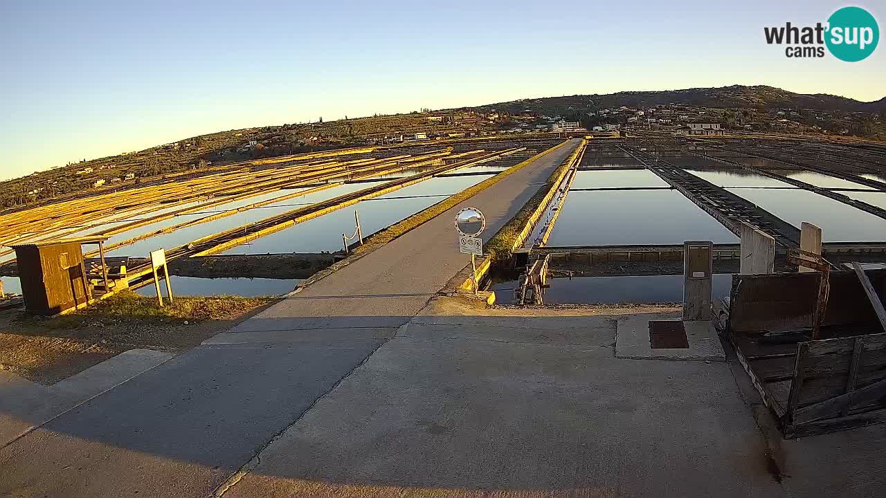 Sečovlje Salina Parque Natural