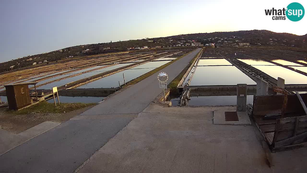 Sečovlje Salina Parque Natural