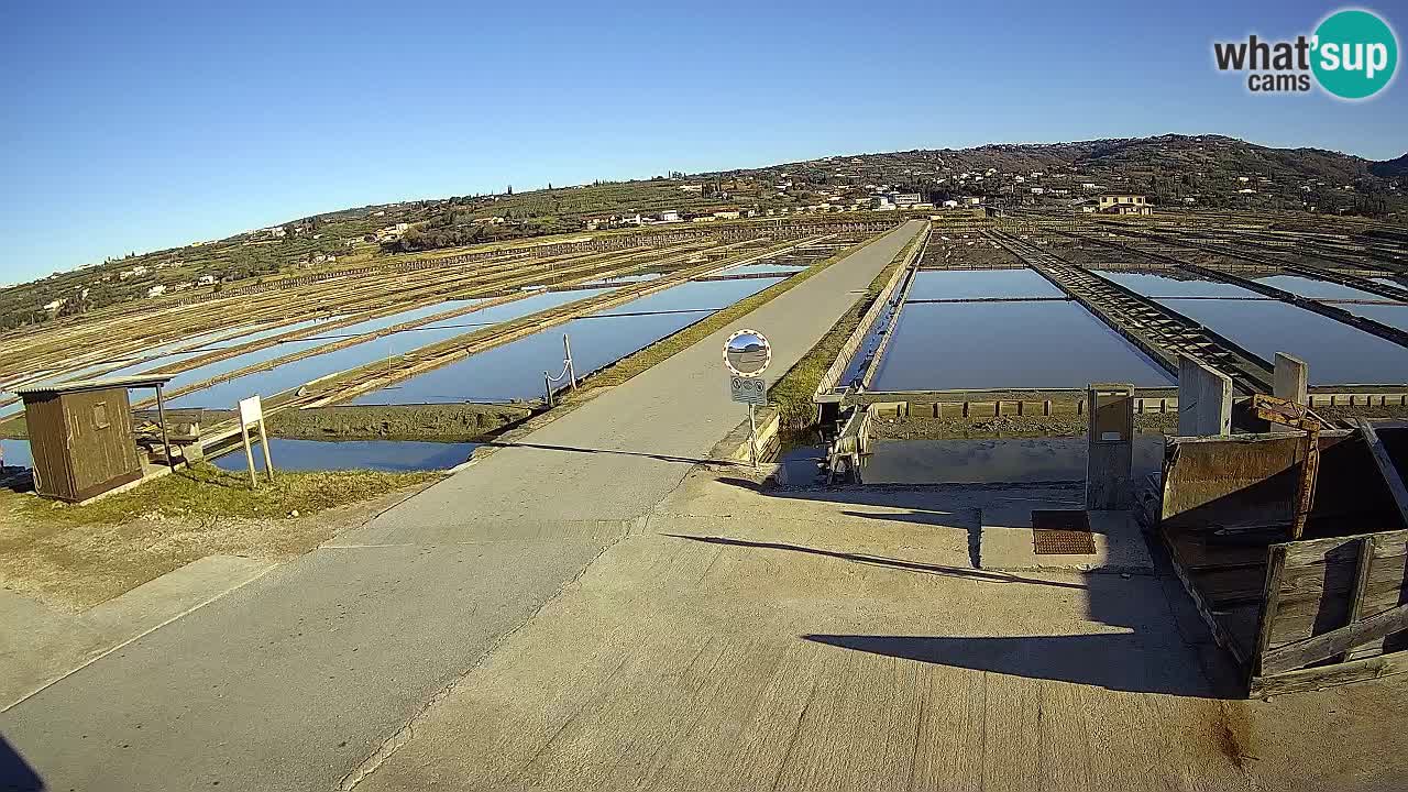 Krajinski Park Sečoveljske Soline