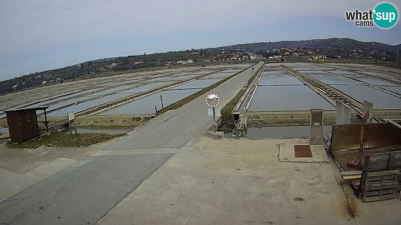 Sečovlje Salina Nature Park