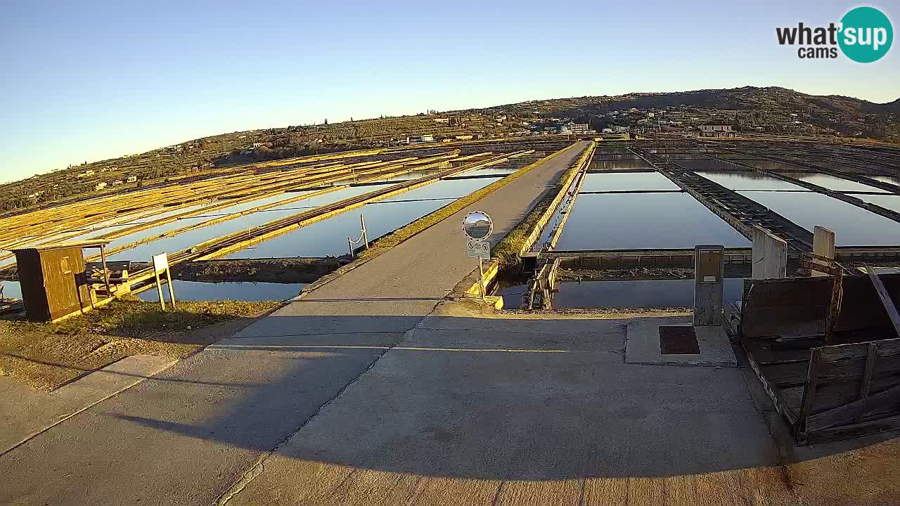 Sečovlje Salina Nature Park