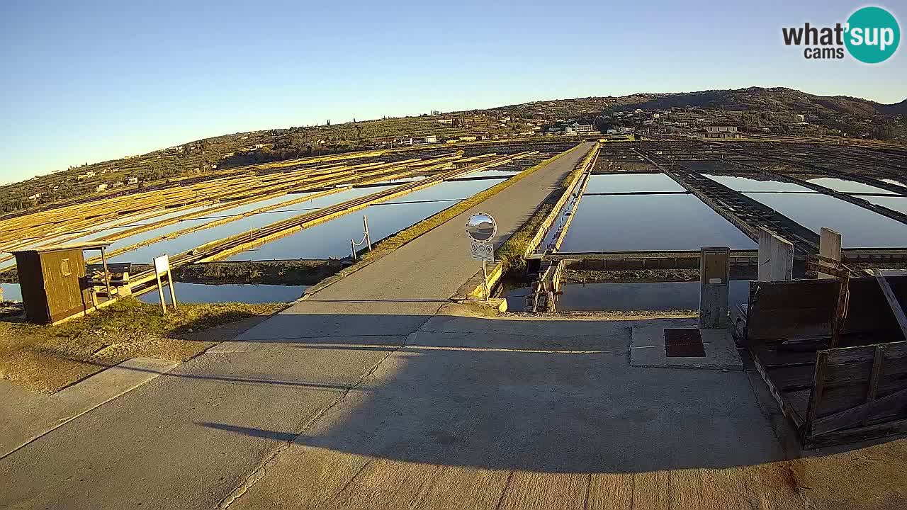 Krajinski Park Sečoveljske Soline