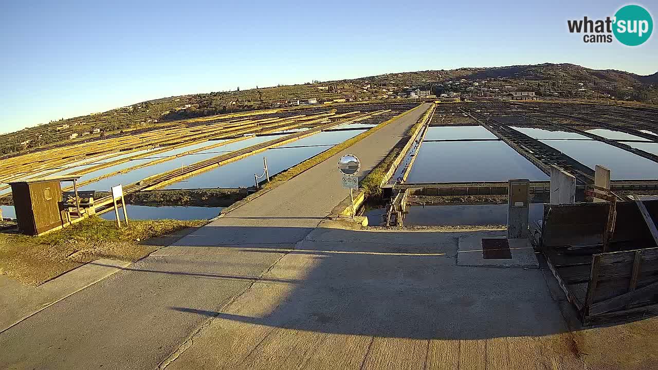 Sezza – Panorama e le saline