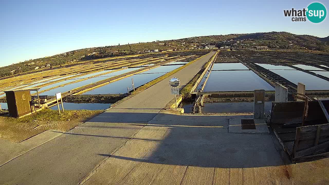 Krajinski Park Sečoveljske Soline