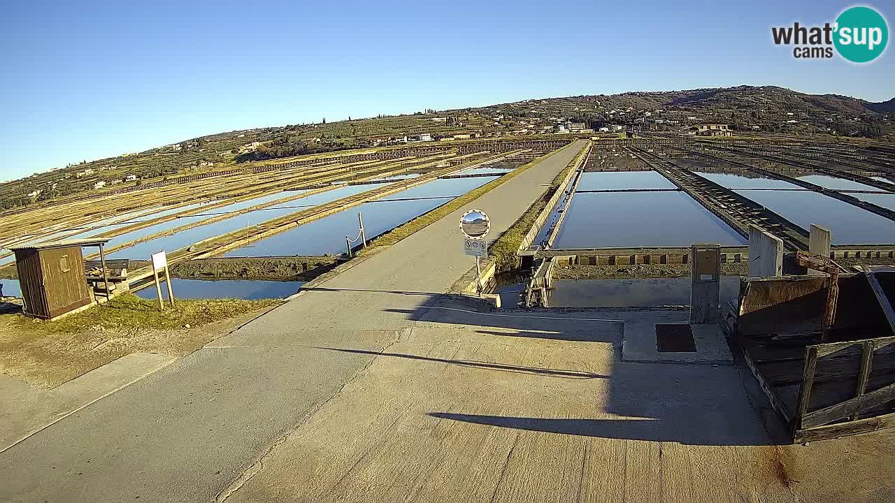 Sečovlje Salina Nature Park