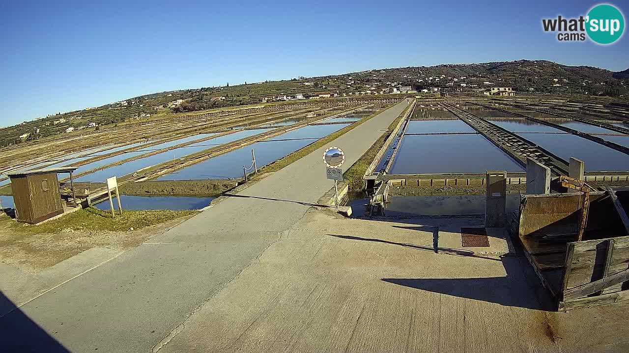 ﻿Sečovlje Salina Nature Park – KPSS