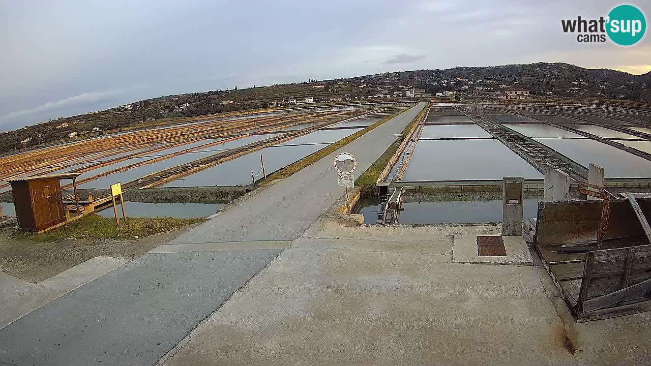 Sečovlje Salina Parque Natural