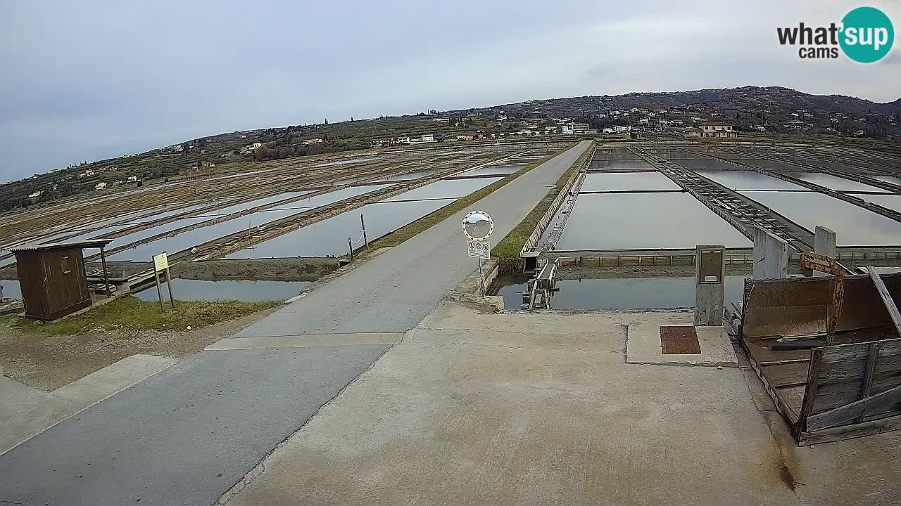 Sečovlje Salina Parque Natural