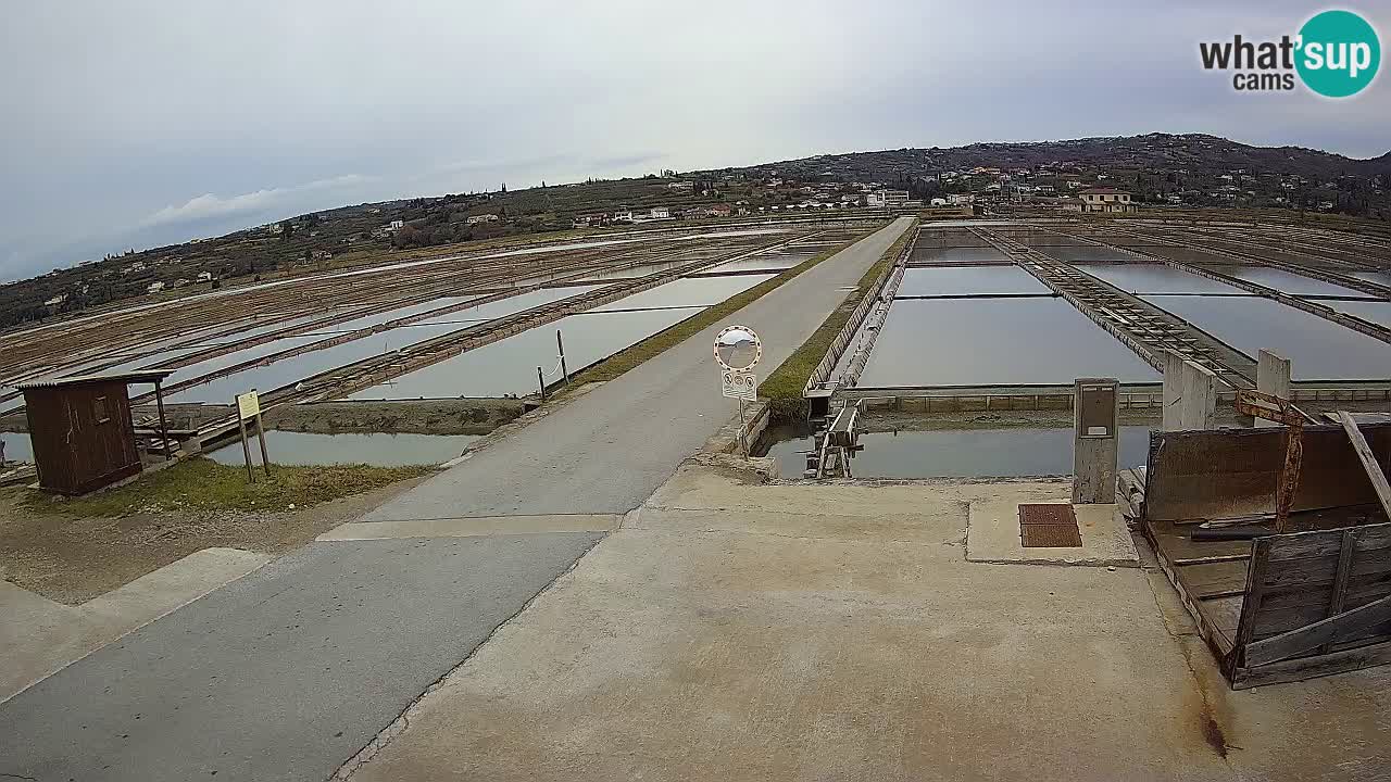 Parco Naturale Saline di Sicciole