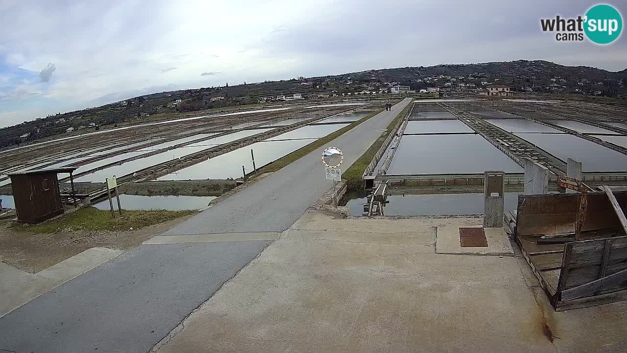 Sečovlje Salina Parque Natural