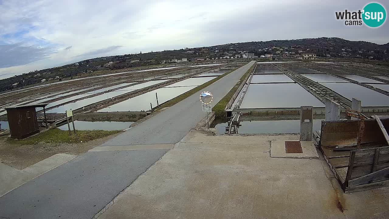 ﻿Sečovlje Salina Nature Park – KPSS