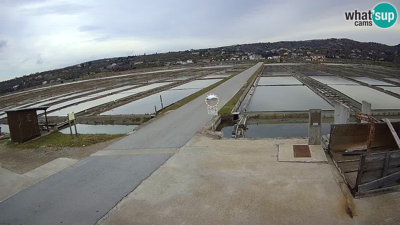 Krajinski Park Sečoveljske Soline