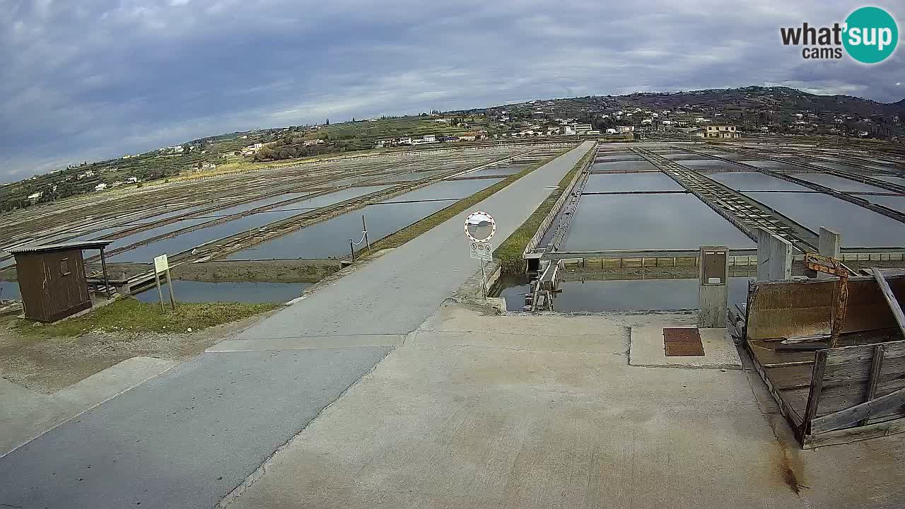 Parco Naturale Saline di Sicciole