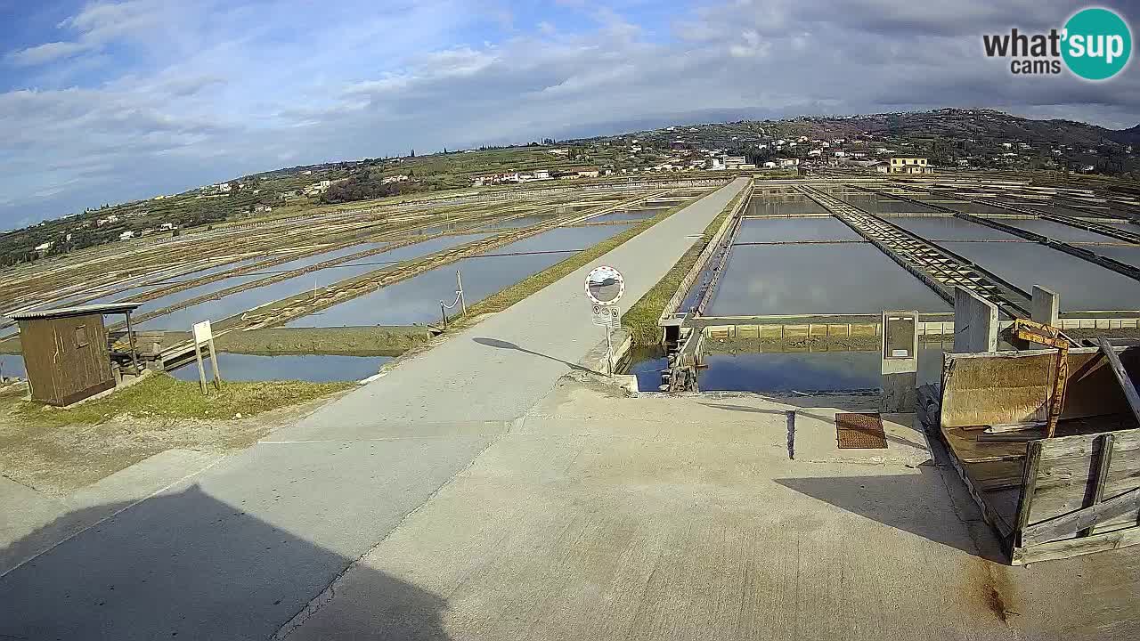 Parco Naturale Saline di Sicciole