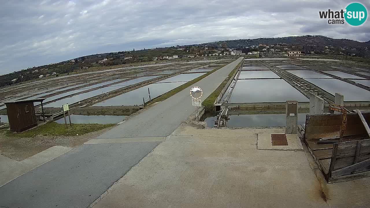 Sečovlje Salina Parque Natural