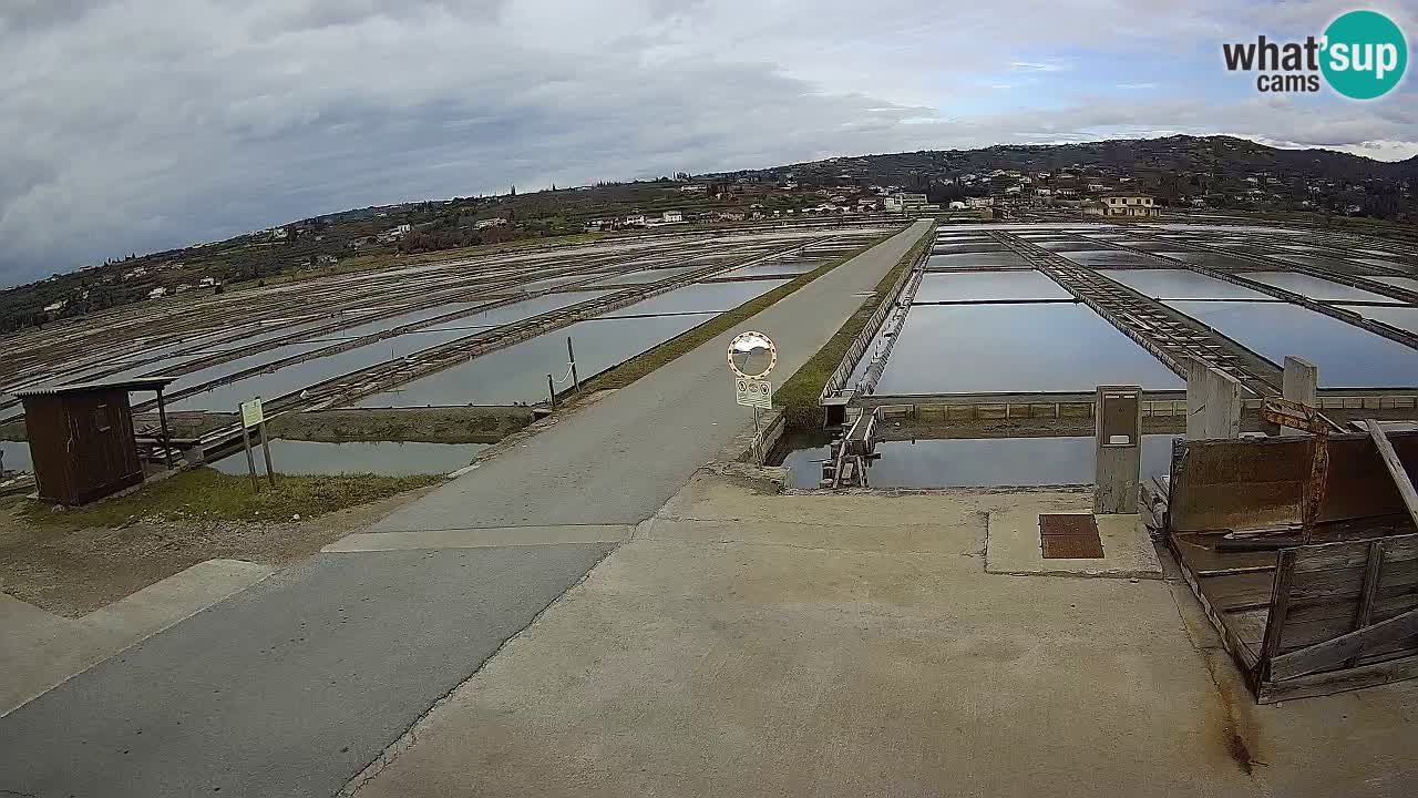 Sezza – Panorama e le saline