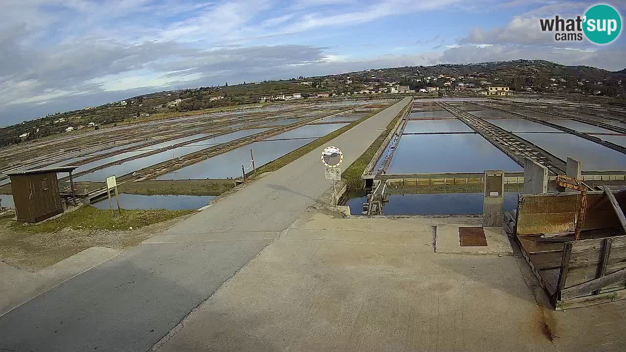 Sezza – Panorama e le saline