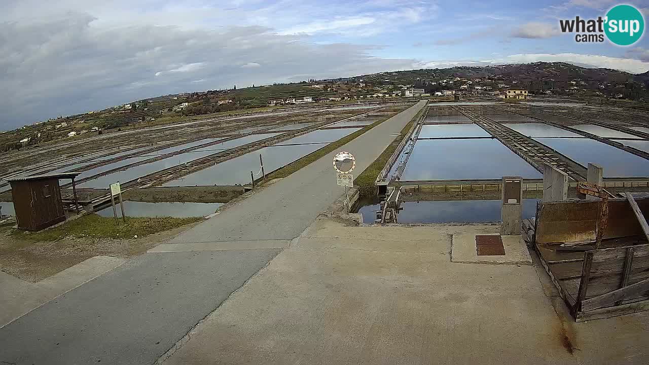 Park prirode Sečovlje Salina