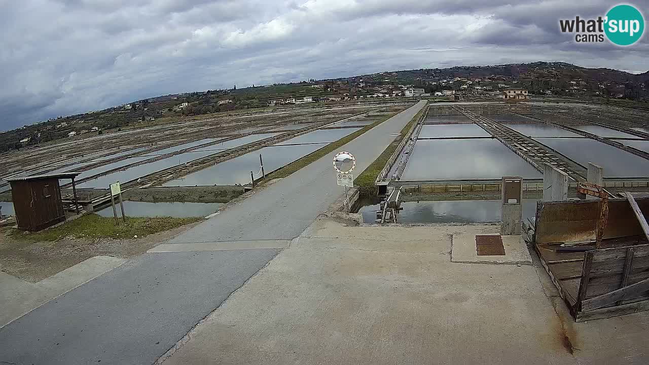 Sečovlje Salina Parque Natural