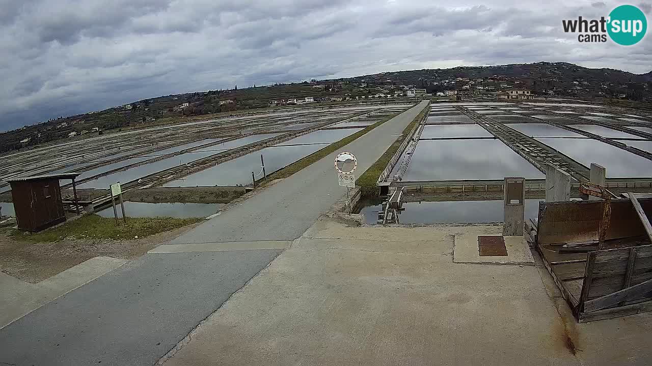 Krajinski Park Sečoveljske Soline