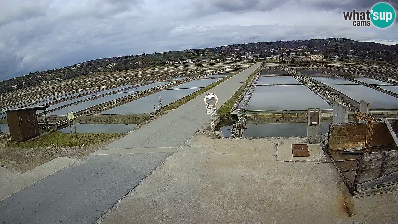 Parco Naturale Saline di Sicciole