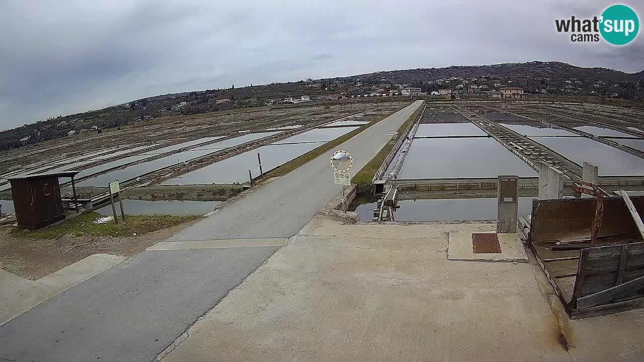 Sečovlje Salina Parque Natural