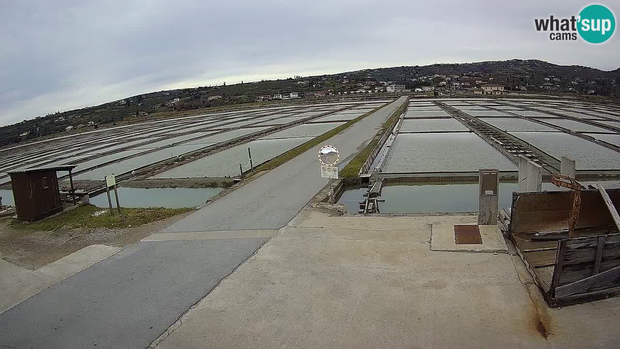 Sečovlje Salina Parque Natural