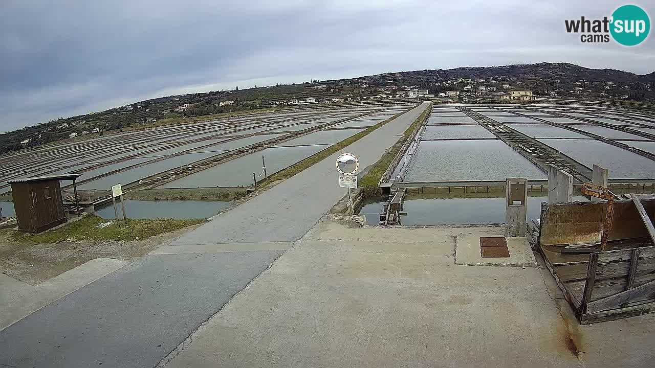 Sečovlje Salina Parque Natural