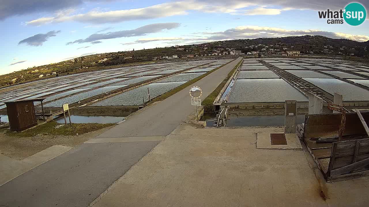 Sezza – Panorama e le saline