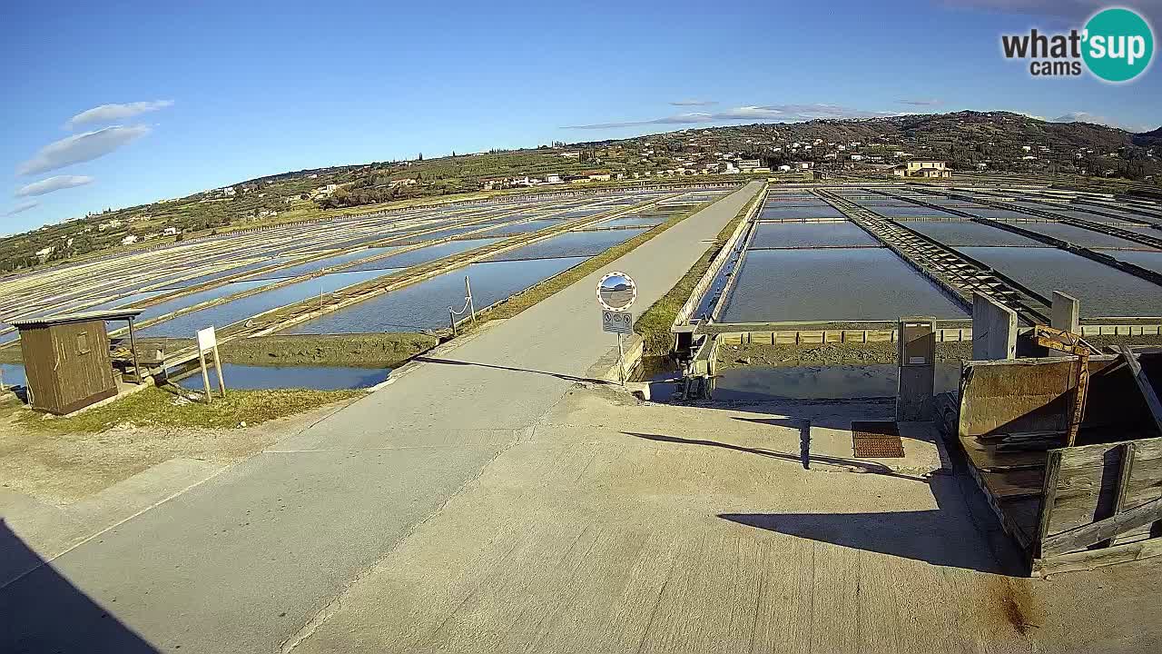 Parco Naturale Saline di Sicciole