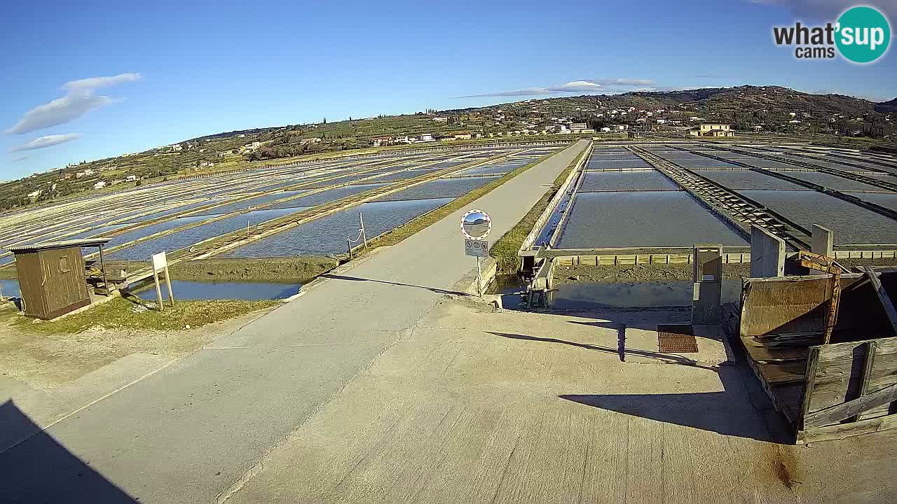 Sezza – Panorama e le saline