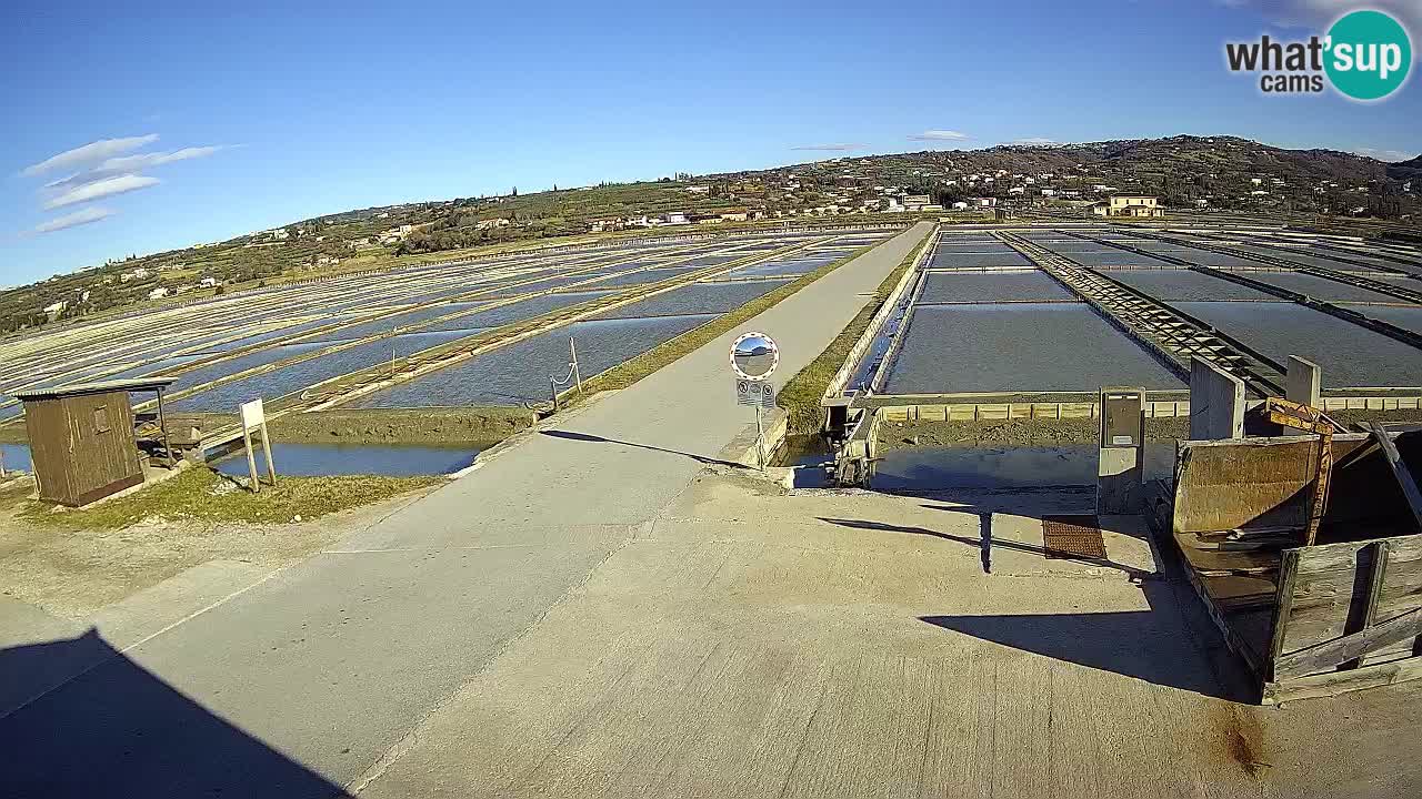 Parco Naturale Saline di Sicciole