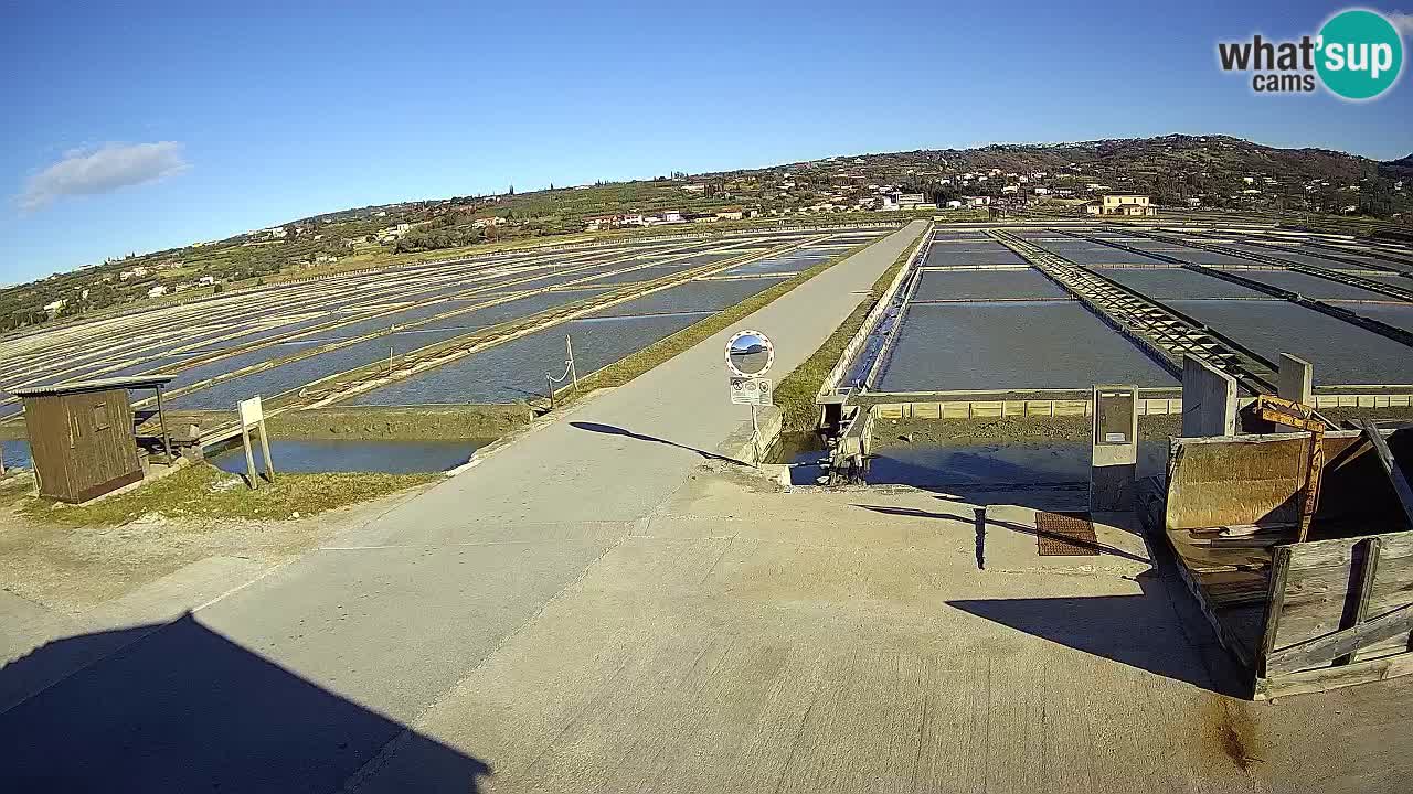 Sezza – Panorama e le saline