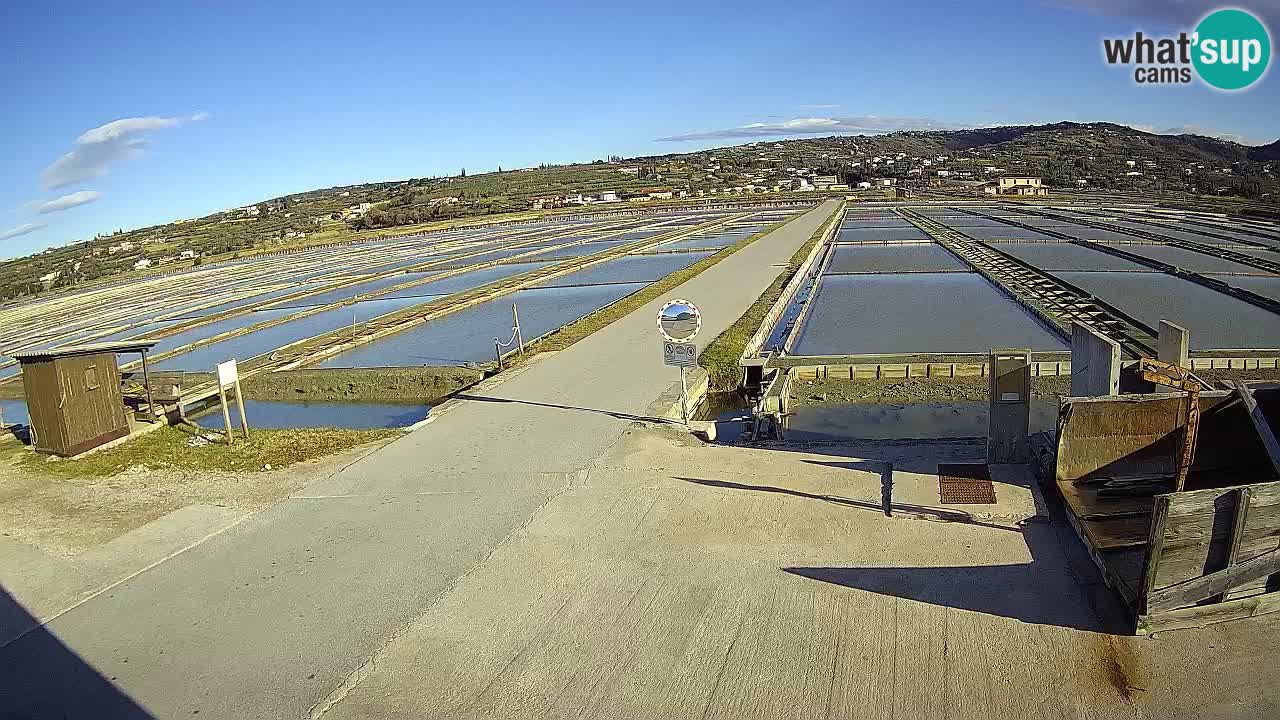 Parco Naturale Saline di Sicciole