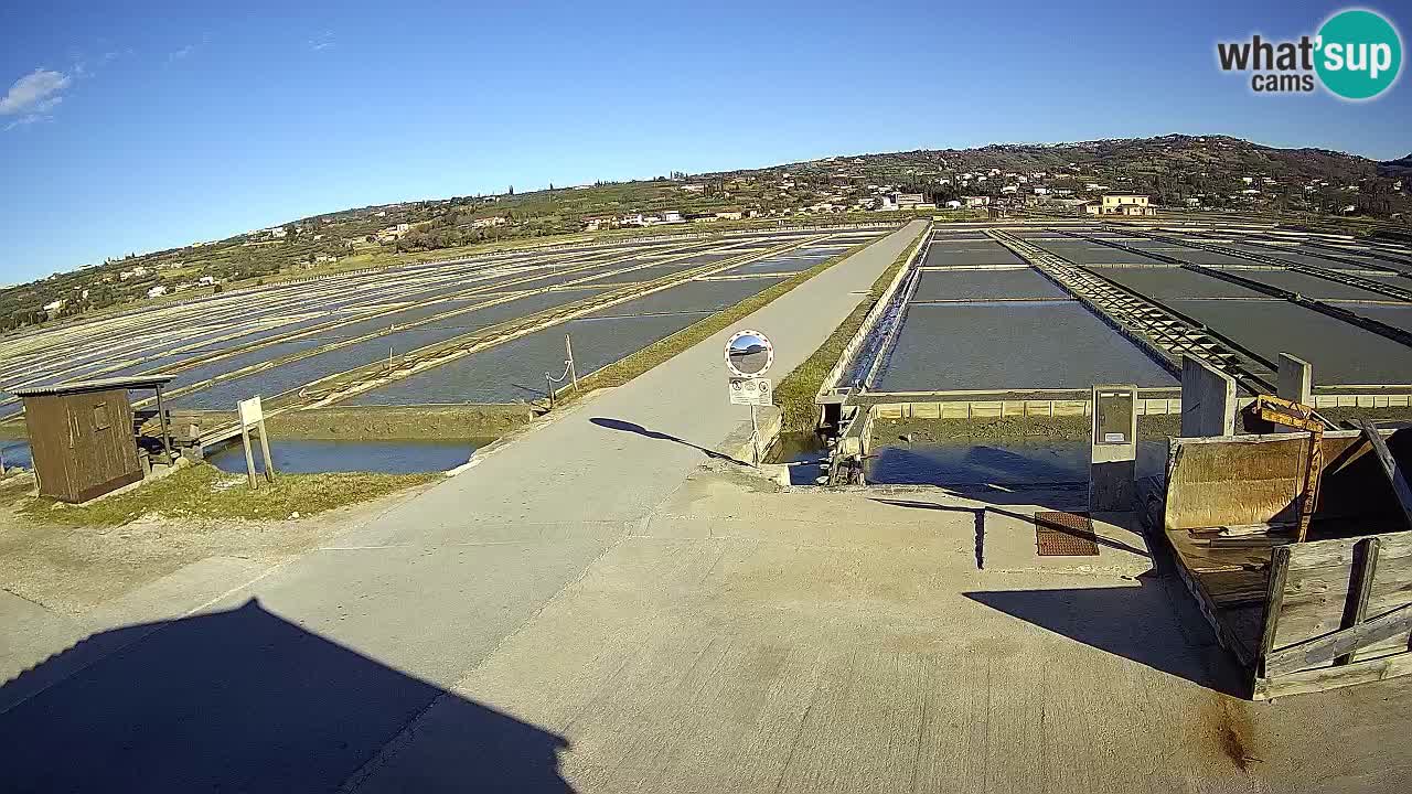 Sečovlje Salina Parque Natural