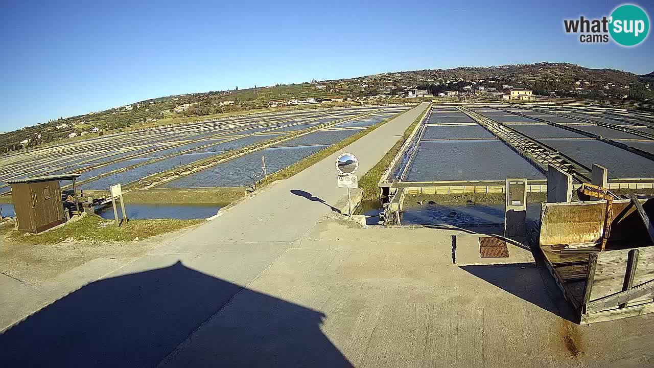 Sezza – Panorama e le saline