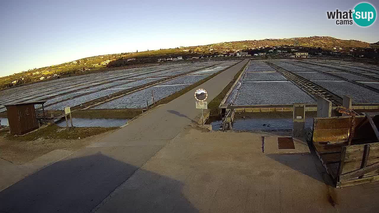 Krajinski Park Sečoveljske Soline