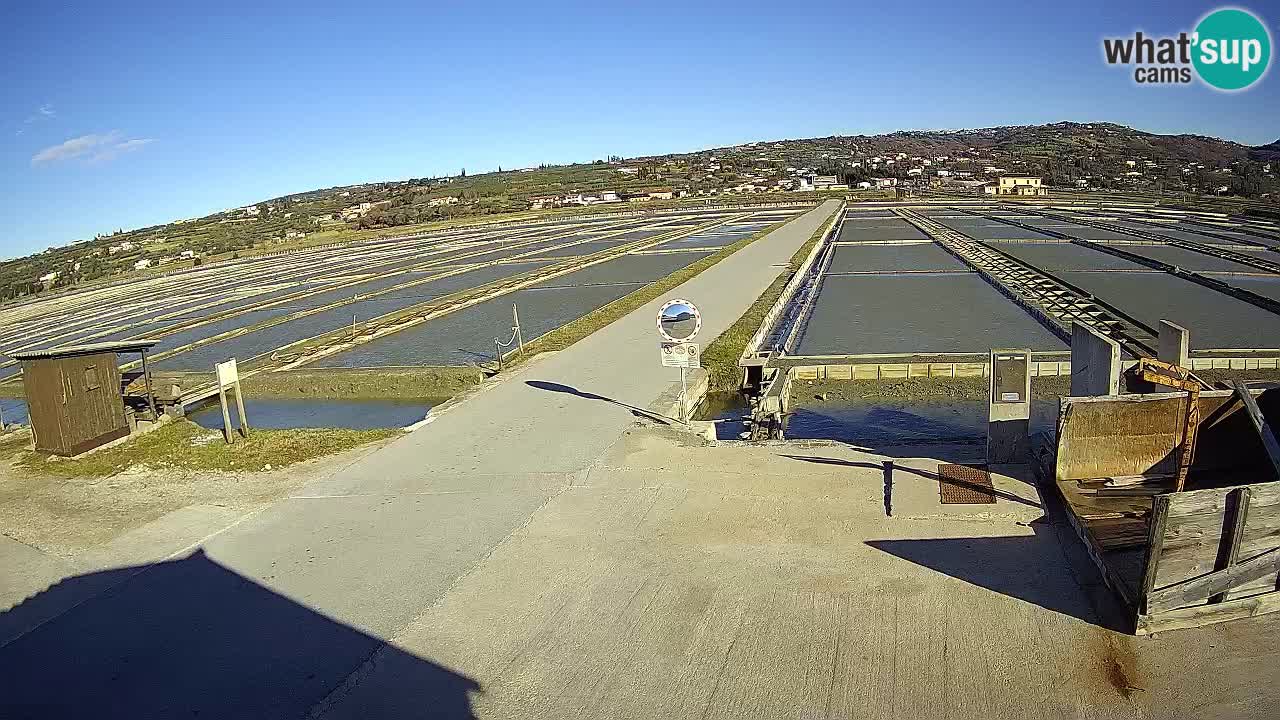 ﻿Sečovlje Salina Nature Park – KPSS