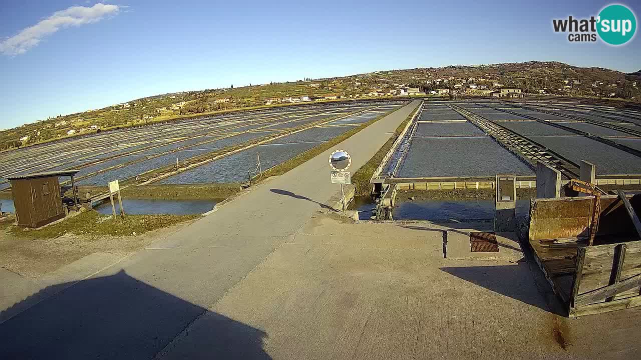 Sečovlje Salina Nature Park