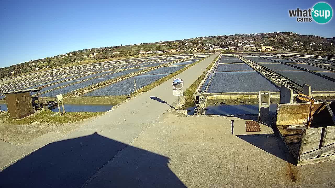 Sezza – Panorama e le saline